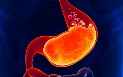 Digestive Enzymes and Gut Health