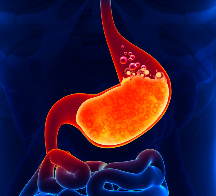 Digestive Enzymes and Gut Health
